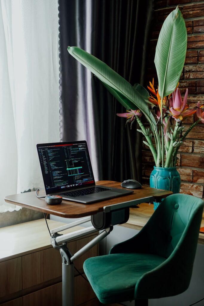 Laptop and plants sit beside a sunny window.